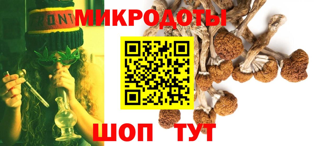 Галлюциногенные грибы прущие грибы Новозыбков